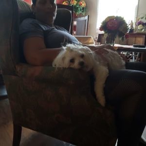 Meet your Posher, Sami